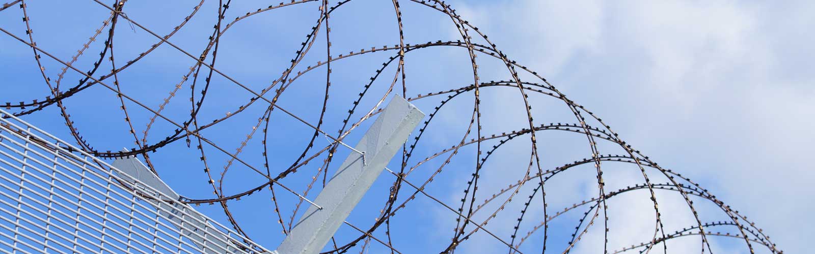 Concertina Wire