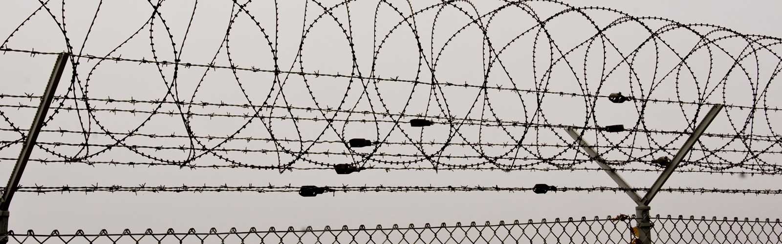 Concertina Wire